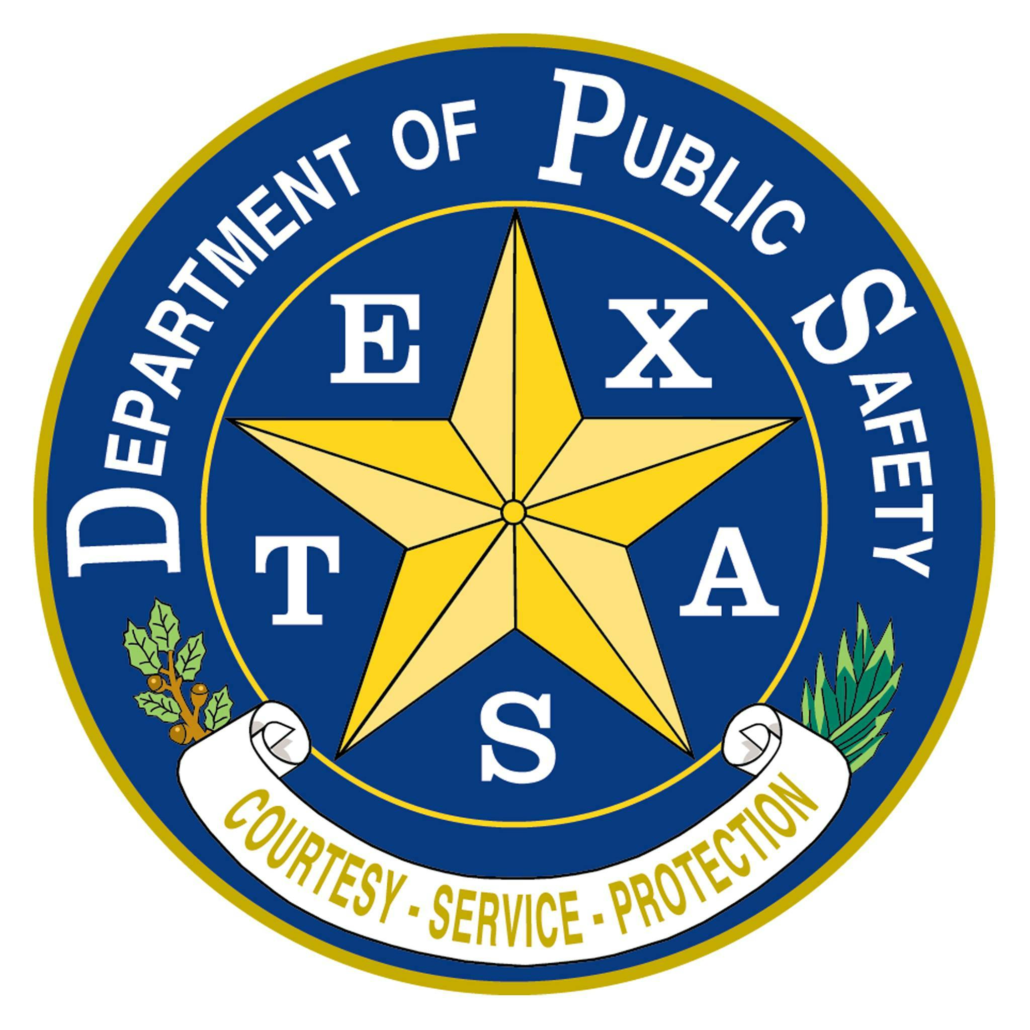 TX-DPS logo