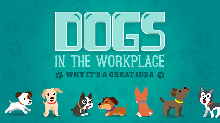 Dogs in the Workplace: Why It’s a Good Idea